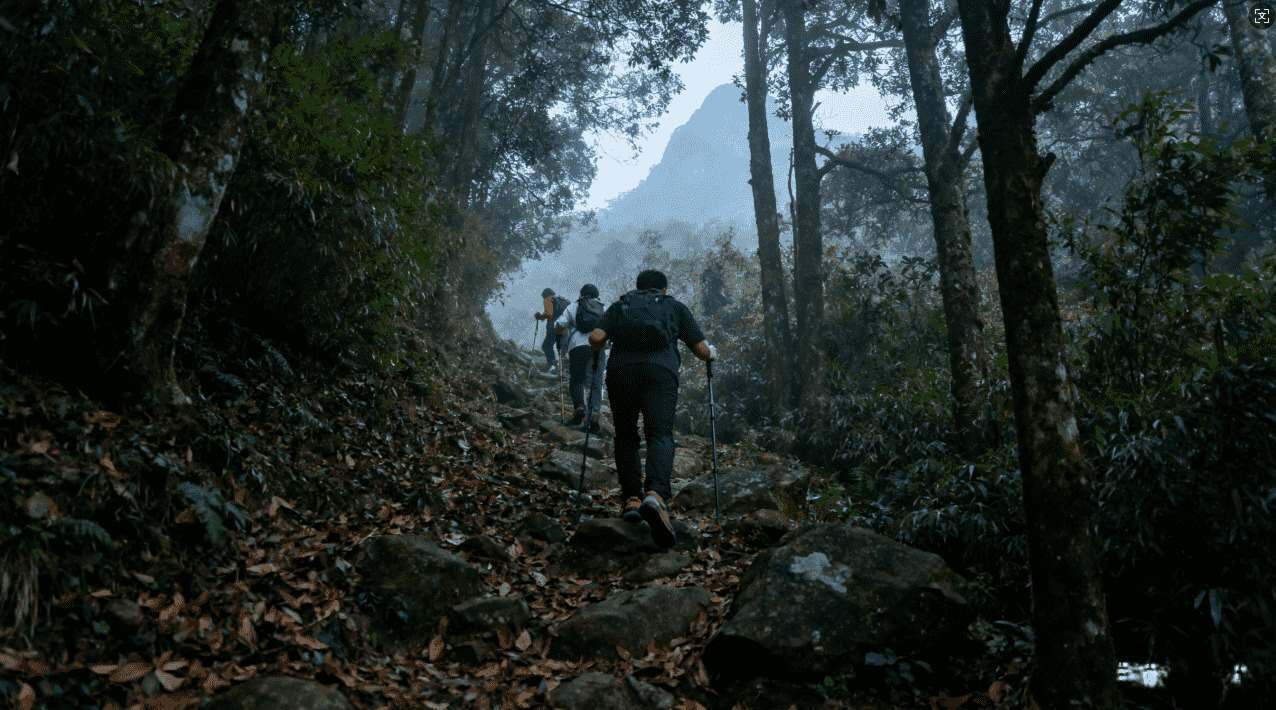 海豚加速器VPN推荐，提升网络速度的秘密武器